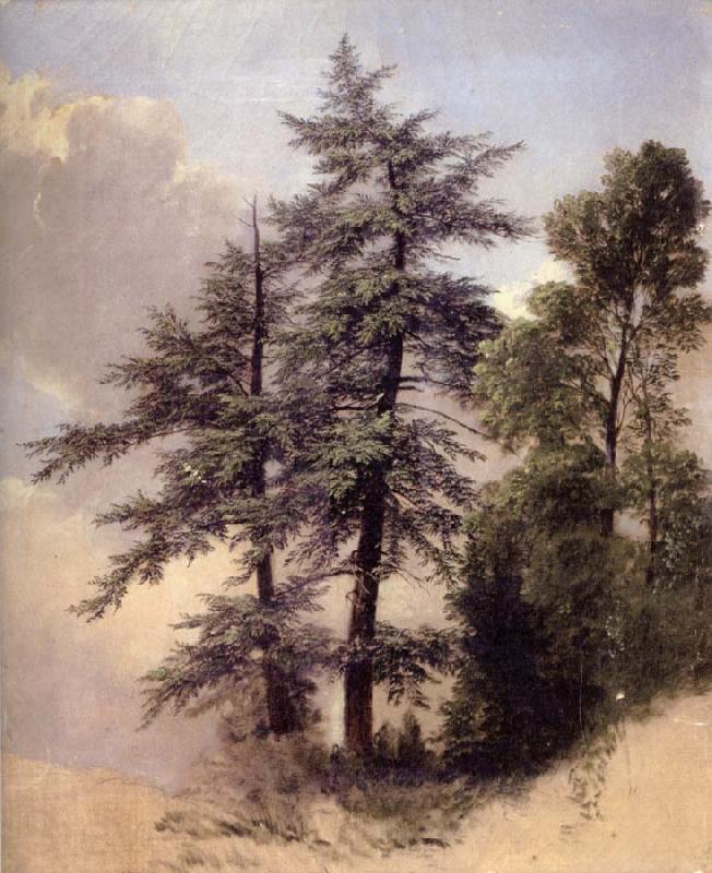 Asher Brown Durand Study from Nature Trees,Newburgh, Norge oil painting art